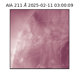 saia - 2025-02-11T03:00:09.630000