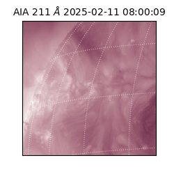 saia - 2025-02-11T08:00:09.626000