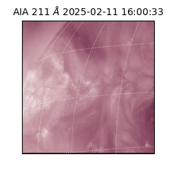 saia - 2025-02-11T16:00:33.626000