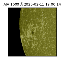 saia - 2025-02-11T19:00:14.126000