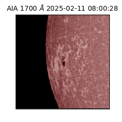 saia - 2025-02-11T08:00:28.717000