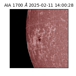 saia - 2025-02-11T14:00:28.717000