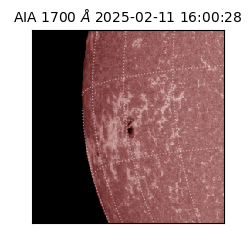 saia - 2025-02-11T16:00:28.717000