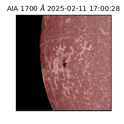 saia - 2025-02-11T17:00:28.717000