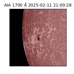 saia - 2025-02-11T21:00:28.718000