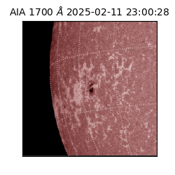 saia - 2025-02-11T23:00:28.741000