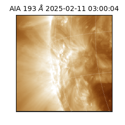 saia - 2025-02-11T03:00:04.843000