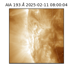 saia - 2025-02-11T08:00:04.843000
