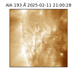 saia - 2025-02-11T21:00:28.844000