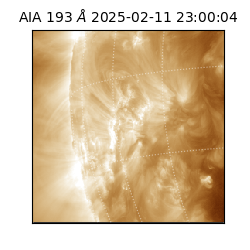 saia - 2025-02-11T23:00:04.845000