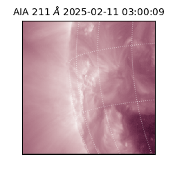saia - 2025-02-11T03:00:09.630000