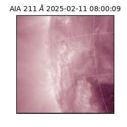 saia - 2025-02-11T08:00:09.626000