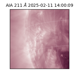 saia - 2025-02-11T14:00:09.625000