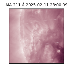 saia - 2025-02-11T23:00:09.633000