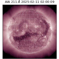 saia - 2025-02-11T02:00:09.626000