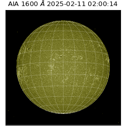 saia - 2025-02-11T02:00:14.126000