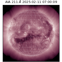 saia - 2025-02-11T07:00:09.626000