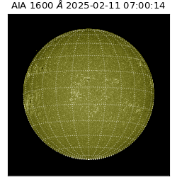 saia - 2025-02-11T07:00:14.126000