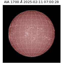 saia - 2025-02-11T07:00:28.719000
