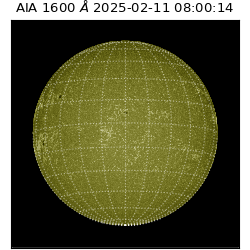 saia - 2025-02-11T08:00:14.126000