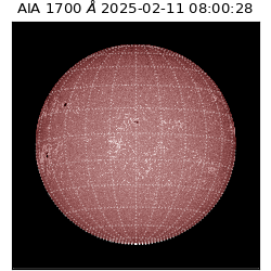 saia - 2025-02-11T08:00:28.717000