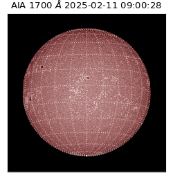 saia - 2025-02-11T09:00:28.717000