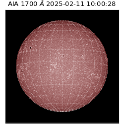 saia - 2025-02-11T10:00:28.745000