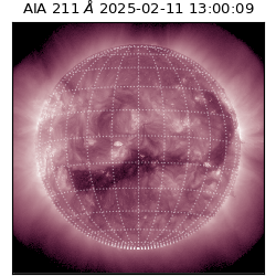 saia - 2025-02-11T13:00:09.618000