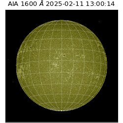 saia - 2025-02-11T13:00:14.118000