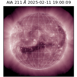 saia - 2025-02-11T19:00:09.626000