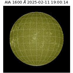 saia - 2025-02-11T19:00:14.126000