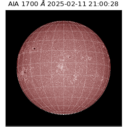 saia - 2025-02-11T21:00:28.718000