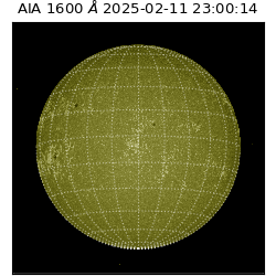 saia - 2025-02-11T23:00:14.125000