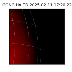 gong - 2025-02-11T17:20:22