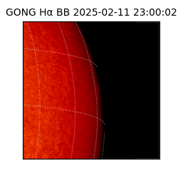 gong - 2025-02-11T23:00:02