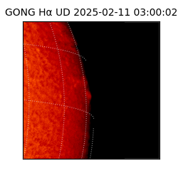 gong - 2025-02-11T03:00:02