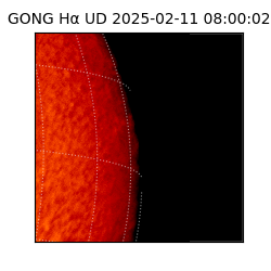gong - 2025-02-11T08:00:02