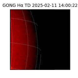 gong - 2025-02-11T14:00:22