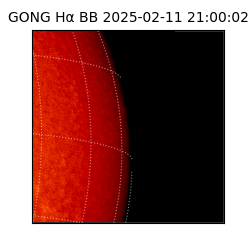 gong - 2025-02-11T21:00:02
