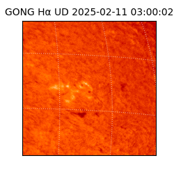 gong - 2025-02-11T03:00:02