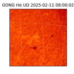 gong - 2025-02-11T08:00:02