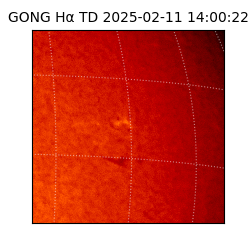 gong - 2025-02-11T14:00:22