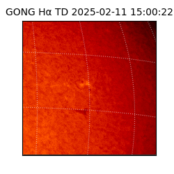 gong - 2025-02-11T15:00:22