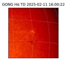 gong - 2025-02-11T16:00:22