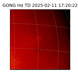 gong - 2025-02-11T17:20:22