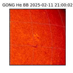 gong - 2025-02-11T21:00:02