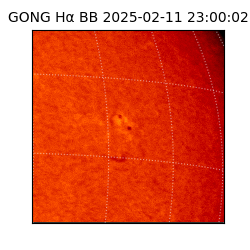 gong - 2025-02-11T23:00:02