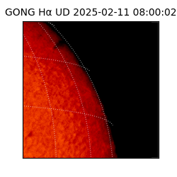 gong - 2025-02-11T08:00:02