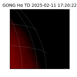 gong - 2025-02-11T17:20:22