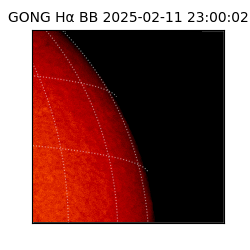 gong - 2025-02-11T23:00:02